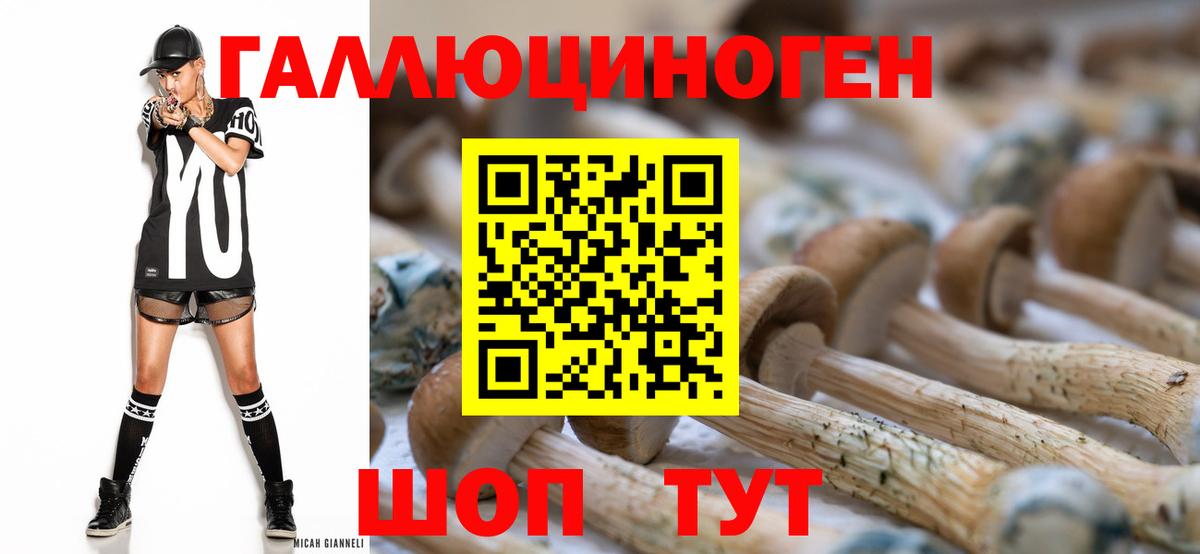 Канаш  где можно купить   Вход с VPN  Псилоцибиновые грибы Psilocybine cubensis 